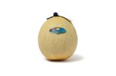 Sicilian Pixelato Supremo Cantaloupe