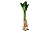 Organic Row 7 Sweet Garleek