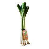 Organic Row 7 Sweet Garleek