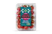 Umami Bombs Cherry Tomatoes on the Vine