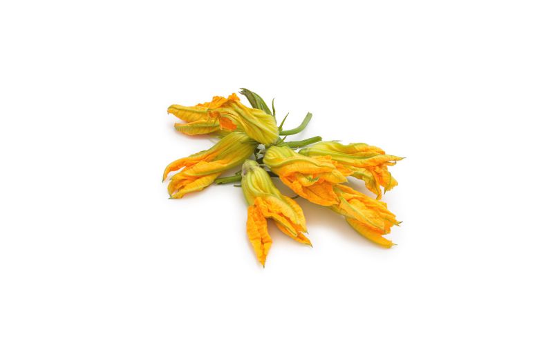 Local Squash Blossoms