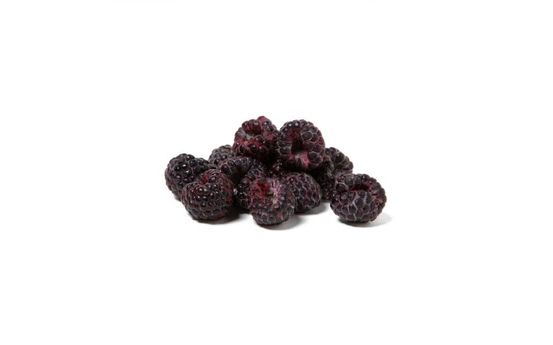 Black Raspberries