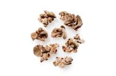 Local Wood Ear Mushrooms