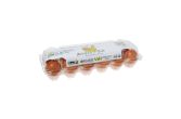 Organic Free Range Jumbo Brown Eggs