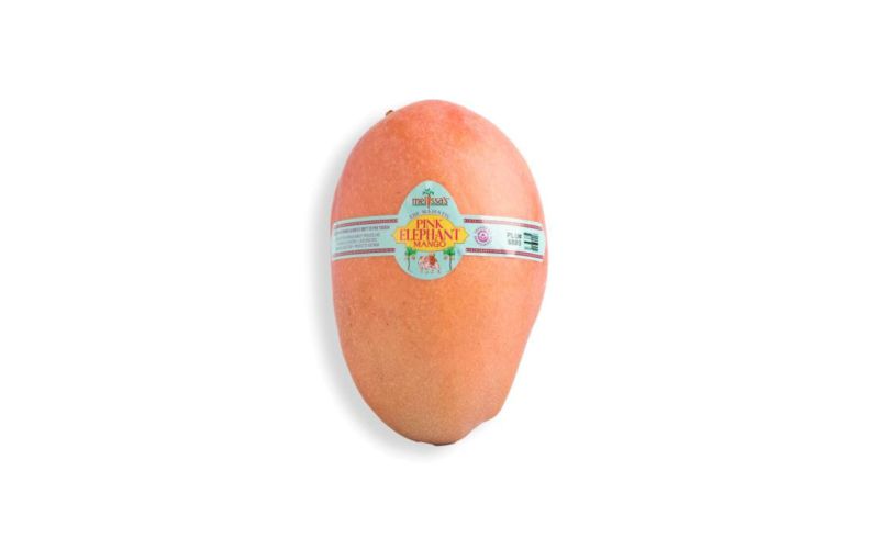 Pink Elephant Mango