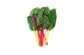 Organic Rainbow Swiss Chard