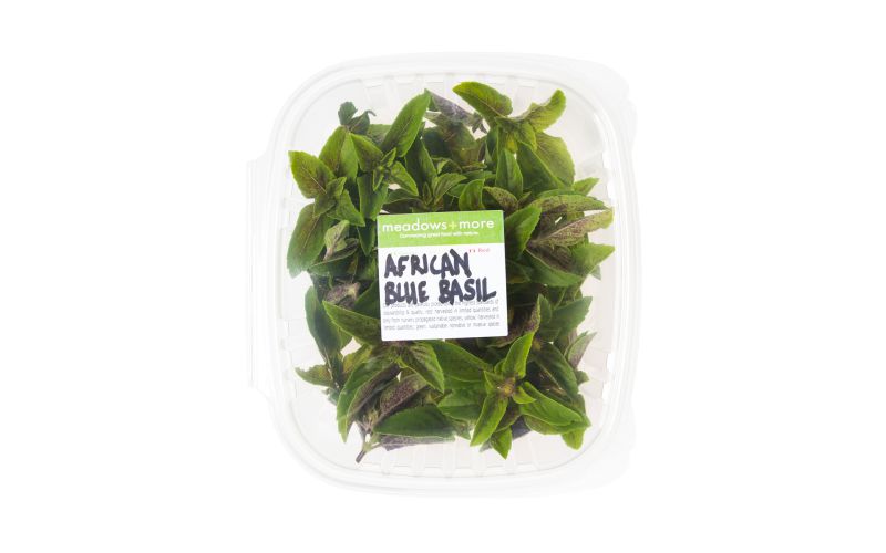 African Blue Basil
