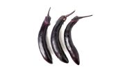 Organic Chinese Eggplant