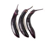 Organic Chinese Eggplant
