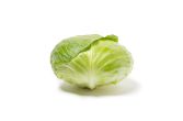 Organic Saku Saku Cabbage