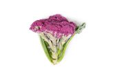 Organic Purple Murasaki Fioretto Cauliflower