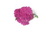 Organic Purple Murasaki Fioretto Cauliflower