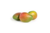 Organic Kent Mangoes