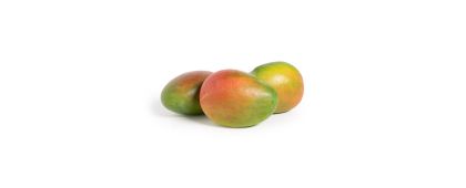 Organic Kent Mangoes