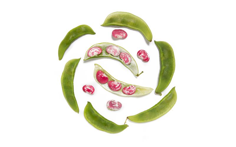 Organic Christmas Lima Beans