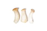 Royal Trumpet Mushrooms
