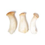 Royal Trumpet Mushrooms