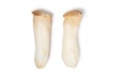 Royal Trumpet Mushrooms