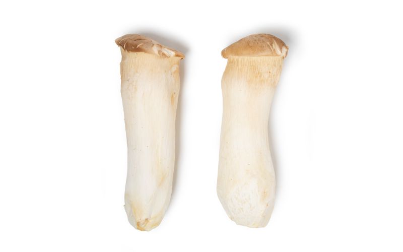 Royal Trumpet Mushrooms