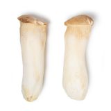 Royal Trumpet Mushrooms