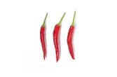 Organic Calabrian Peppers