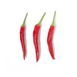 Organic Calabrian Peppers