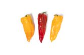 Organic Mixed Bull's Horn Peppers