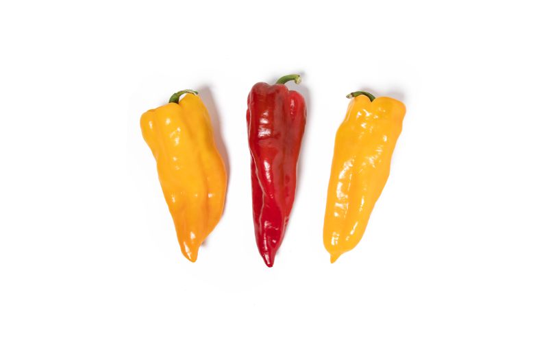 Organic Mixed Bull's Horn Peppers