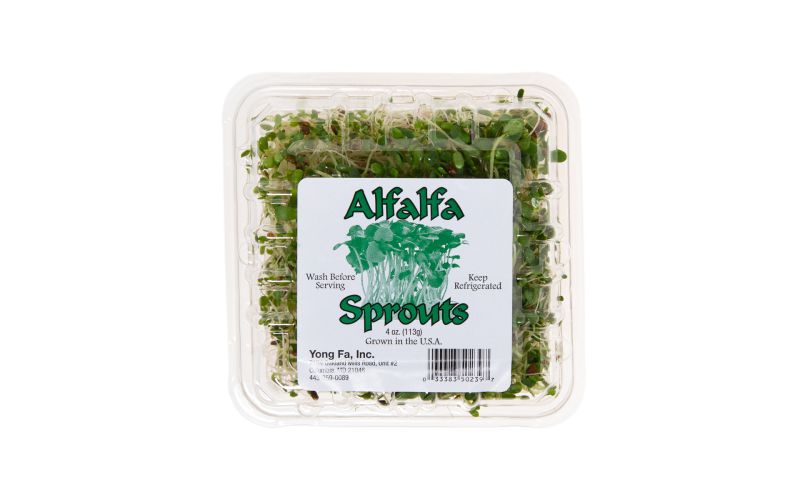 Alfalfa Sprouts