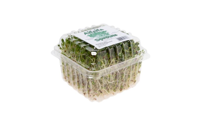 Alfalfa Sprouts