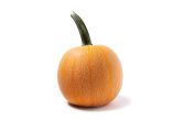 Winter Luxury Sugar Pumpkins