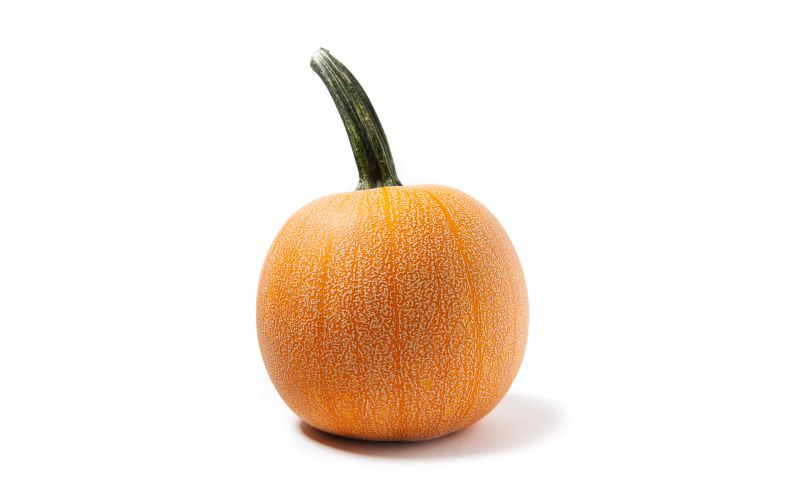 Winter Luxury Sugar Pumpkins