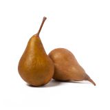 Bosc Pears