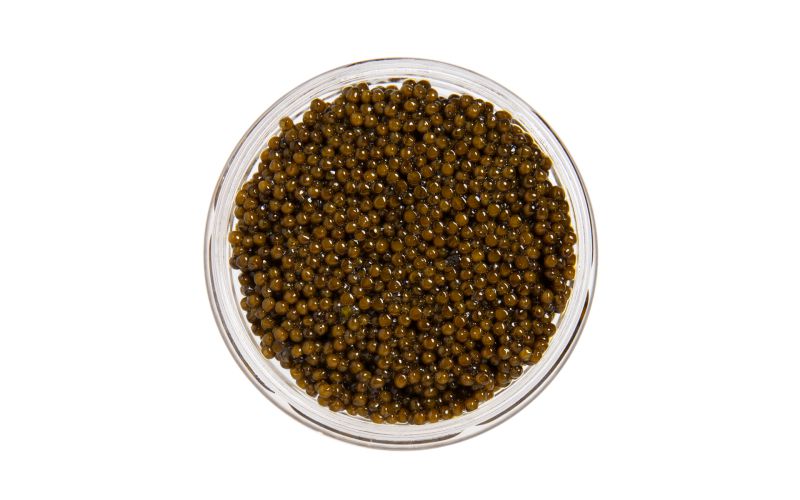 Amber Kaluga Hybrid Sturgeon Caviar 4oz