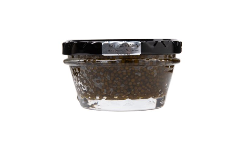 Amber Kaluga Hybrid Sturgeon Caviar 4oz