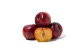 Diamond Sweet Red Plumcots