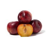 Diamond Sweet Red Plumcots