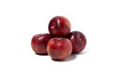Diamond Sweet Red Plumcots