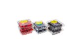 Berry Trio