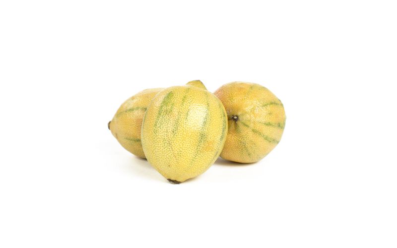 Organic Variegated Pink Lemons