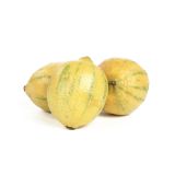 Organic Variegated Pink Lemons