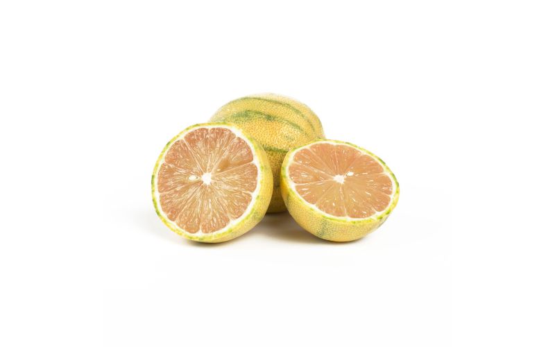 Organic Variegated Pink Lemons