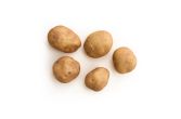 Organic Row 7 Trial Potato