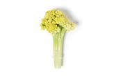 Romanetto Cauliflower