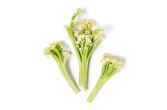 Fioretto Cauliflower