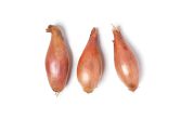 Organic Jumbo Shallots
