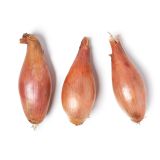 Organic Jumbo Shallots
