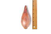 Organic Jumbo Shallots