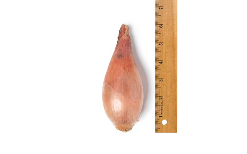 Organic Jumbo Shallots