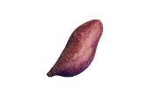 Organic Starling Purple Sweet Potatoes